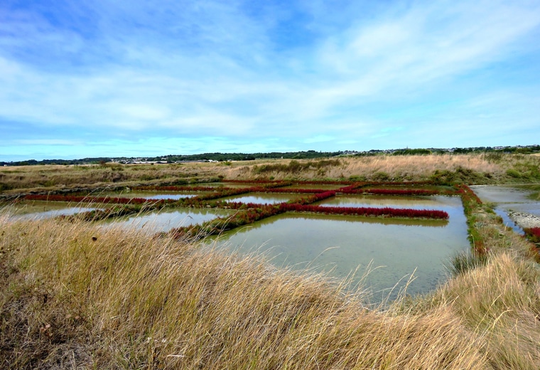 guerande