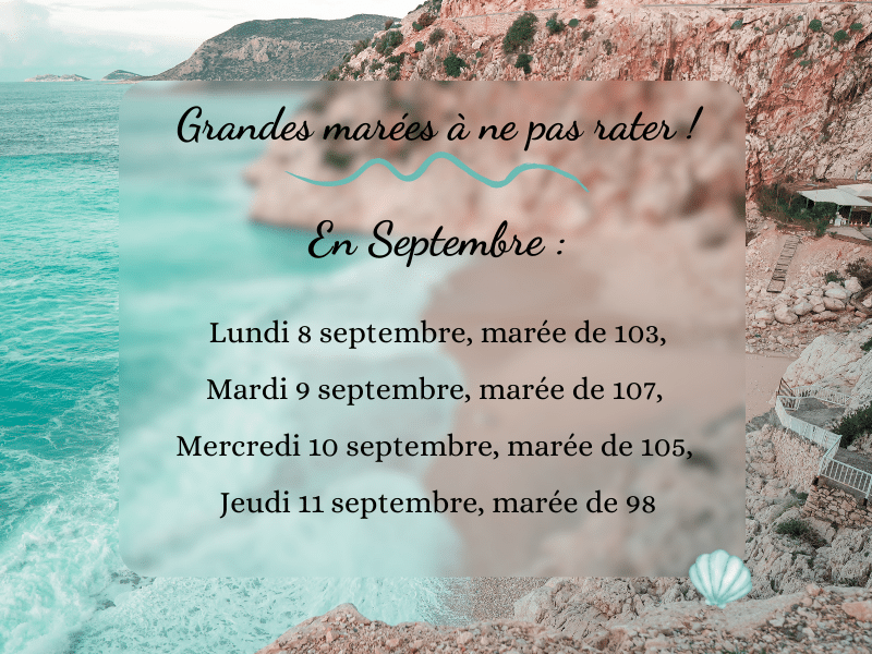 Grandes marées !